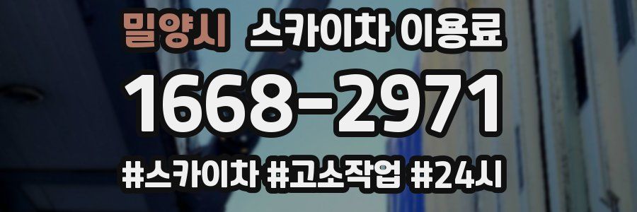 밀양시 스카이차 이용료