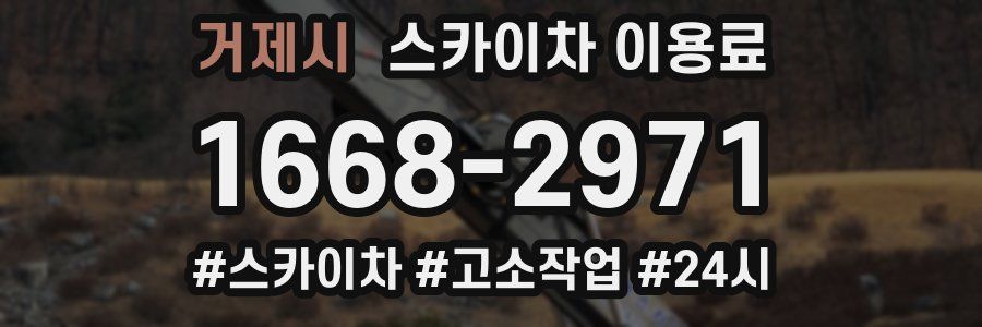 거제시 스카이차 이용료