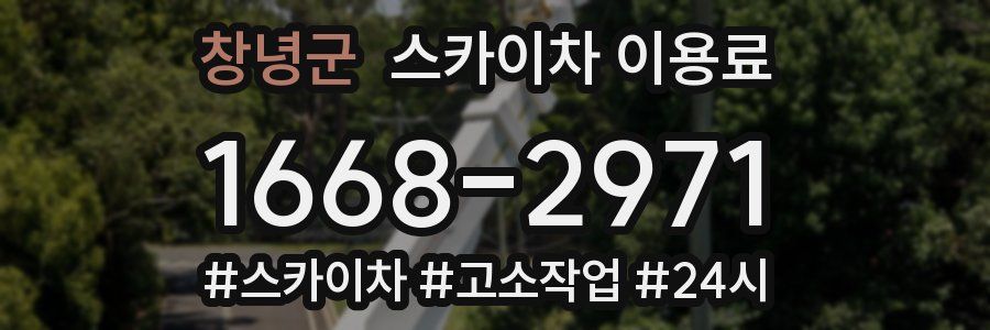 창녕군 스카이차 이용료