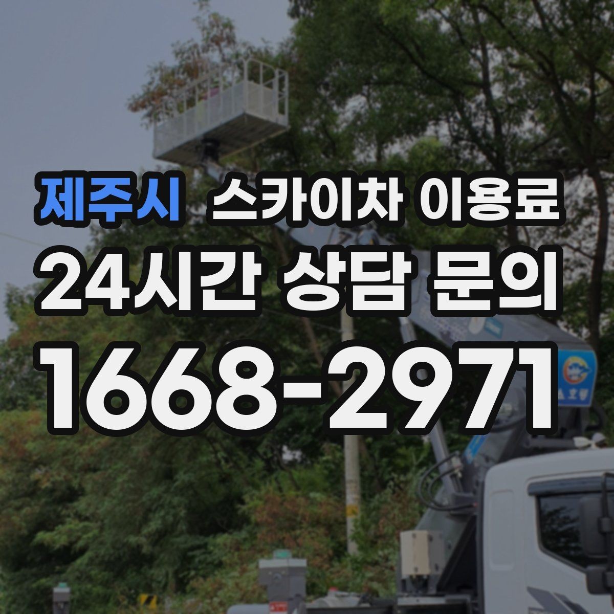 제주시 스카이차 이용료 비교 시 장비 상태도 중요한 이유