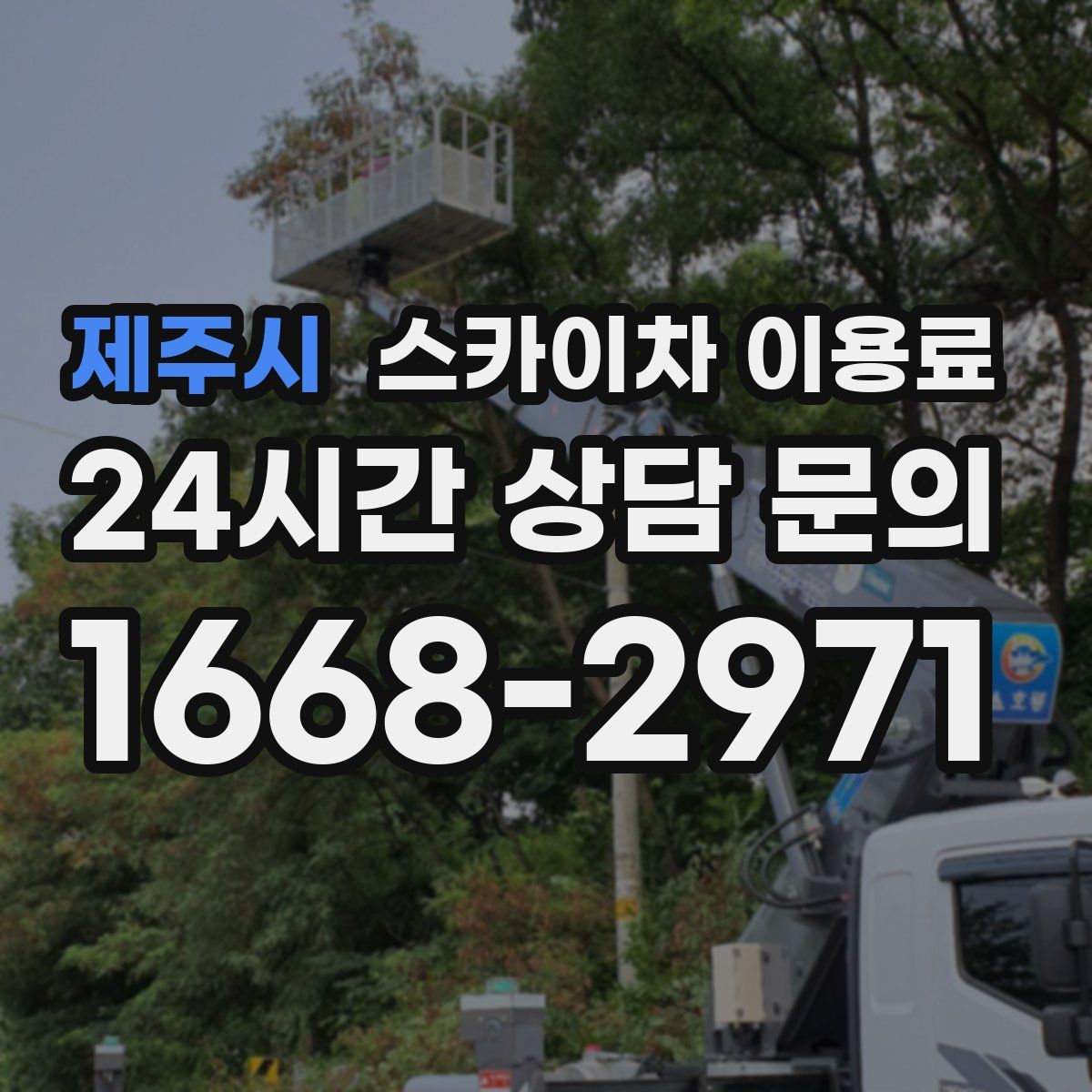 제주시 스카이차 이용료