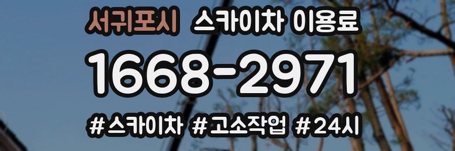 서귀포시 스카이차 이용료