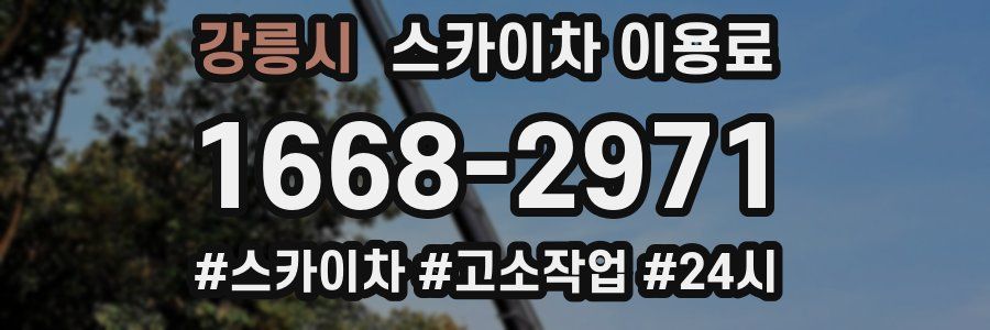 강릉시 스카이차 이용료