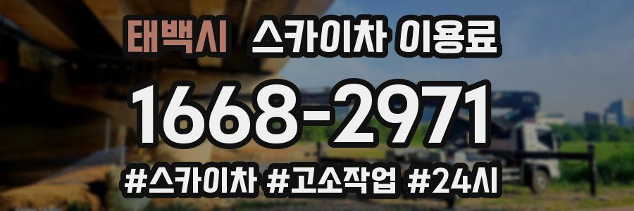 태백시 스카이차 이용료