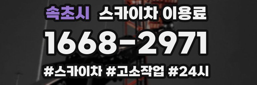 속초시 스카이차 이용료