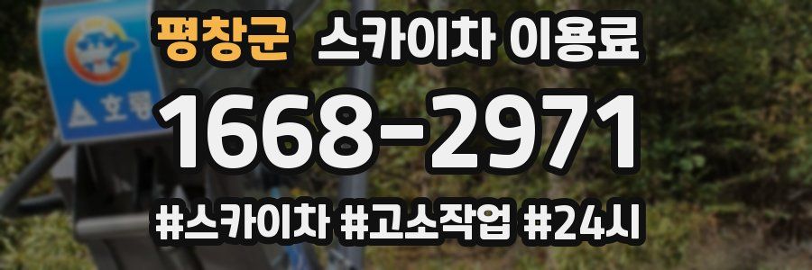 평창군 스카이차 이용료