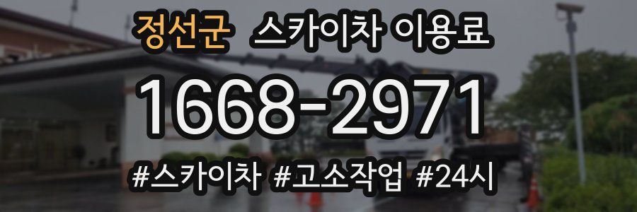 정선군 스카이차 이용료