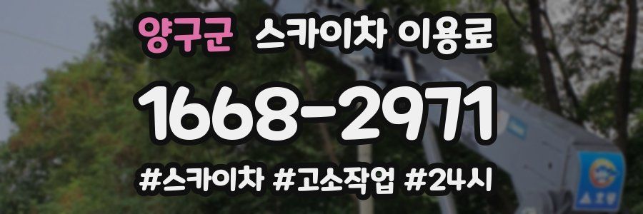 양구군 스카이차 이용료