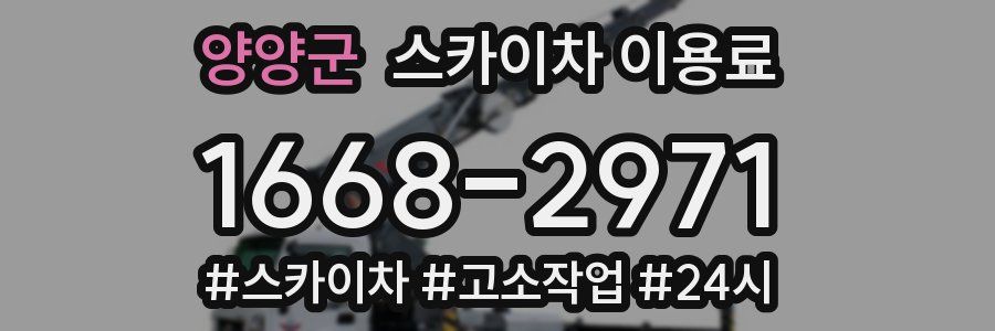양양군 스카이차 이용료