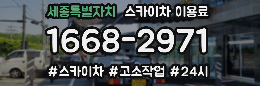 세종특별자치 스카이차 이용료