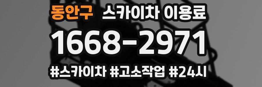 동안구 스카이차 이용료