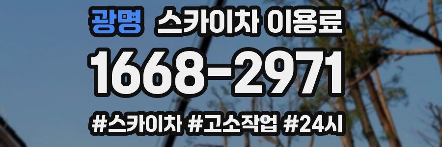 광명 스카이차 이용료