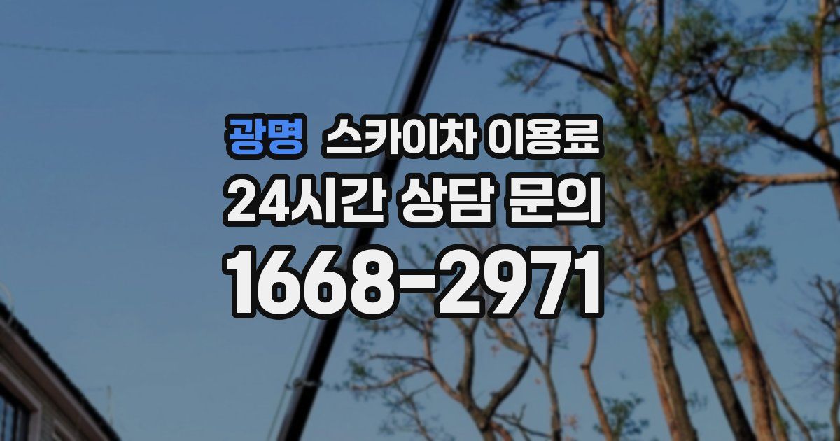 광명 스카이차 이용료