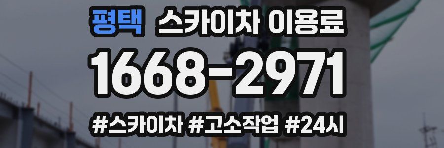 평택 스카이차 이용료