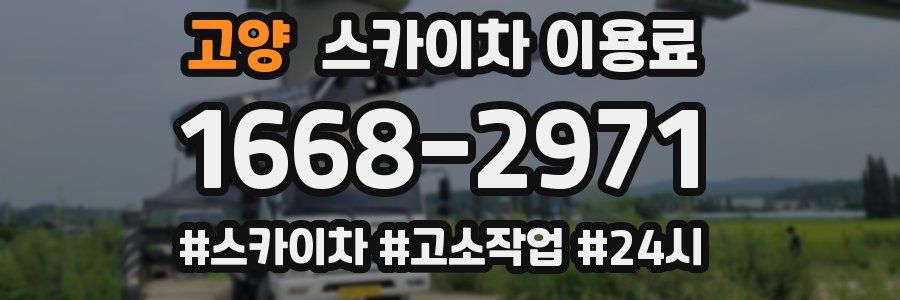 고양 스카이차 이용료