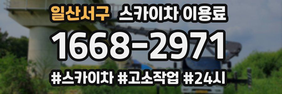 일산서구 스카이차 이용료