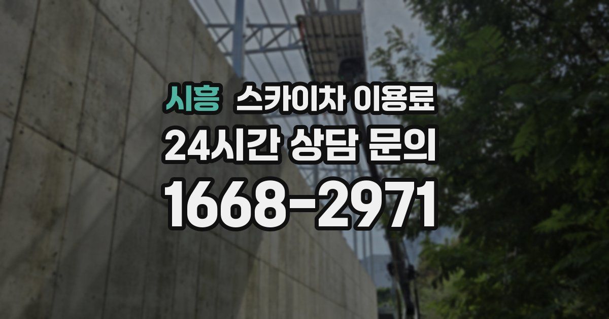시흥 스카이차 이용료