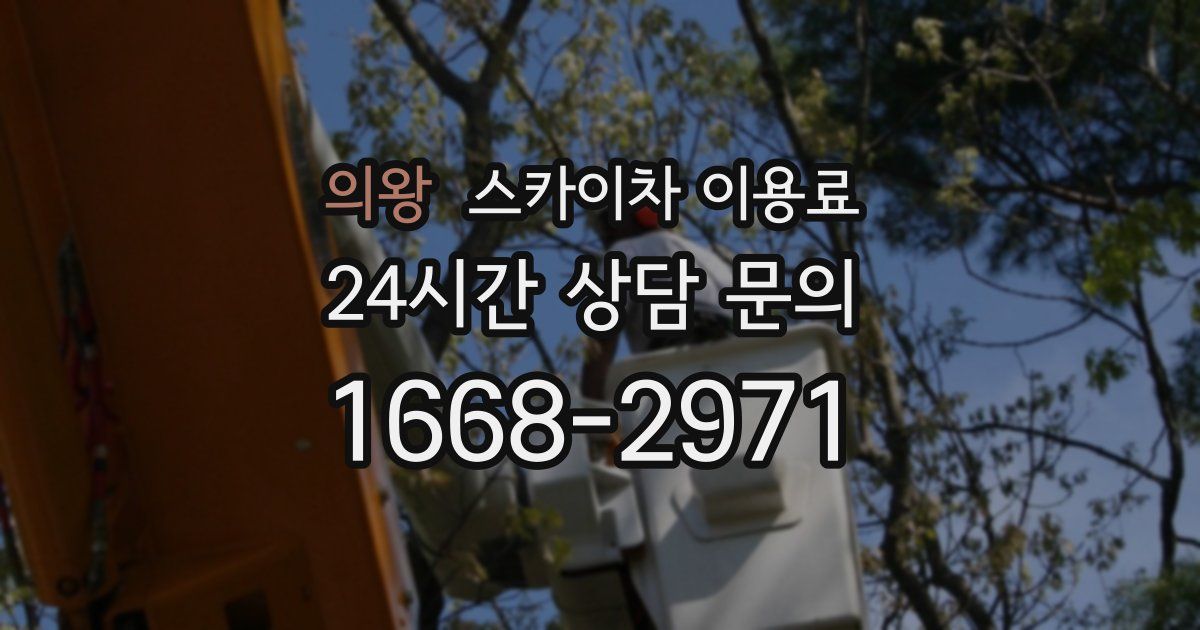 의왕 스카이차 이용료