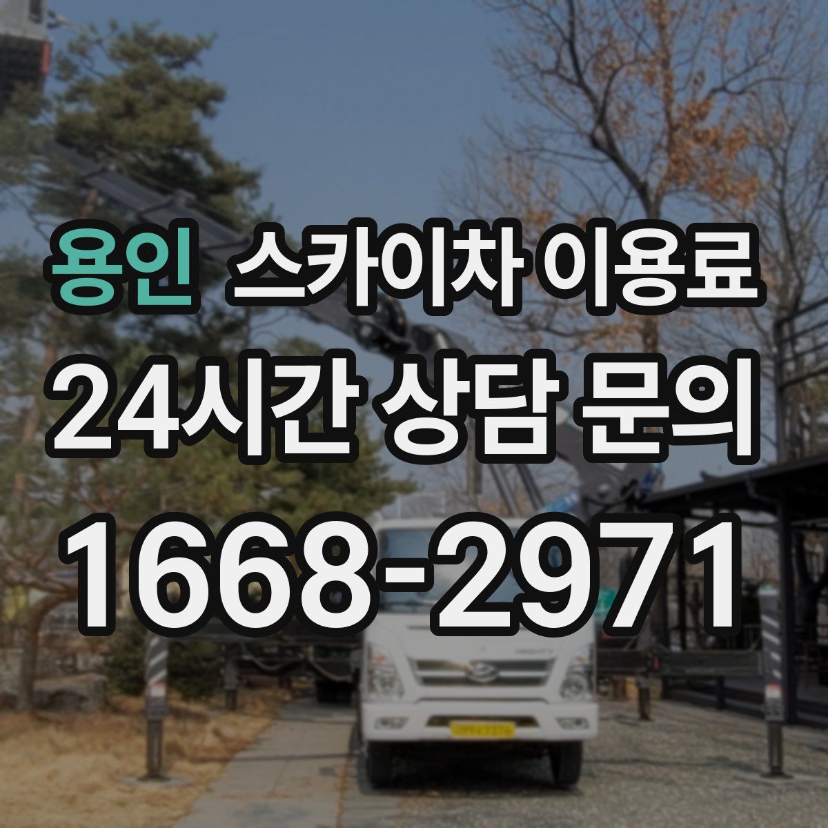용인 스카이차 이용료