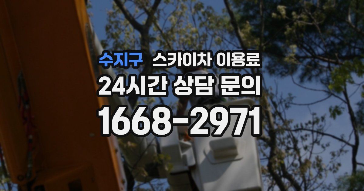 수지구 스카이차 이용료