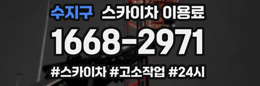 수지구 스카이차 이용료