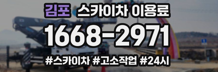 김포 스카이차 이용료