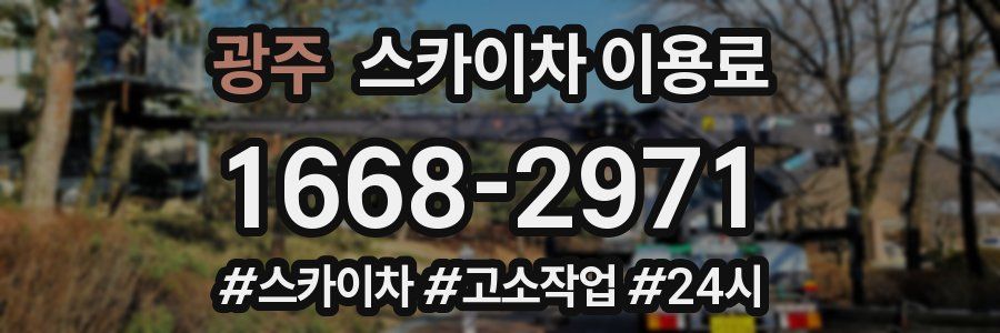 광주 스카이차 이용료