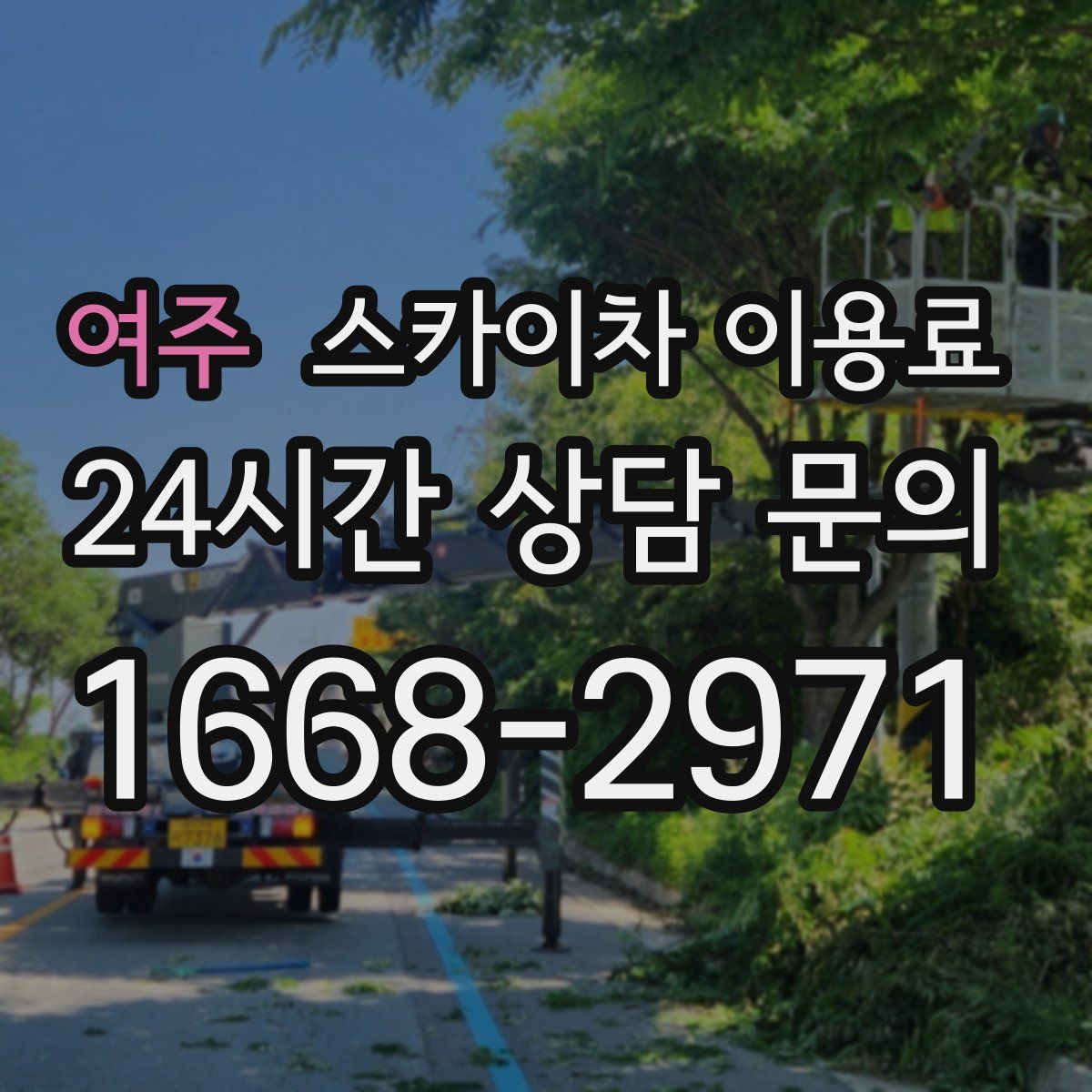 여주 스카이차 이용료