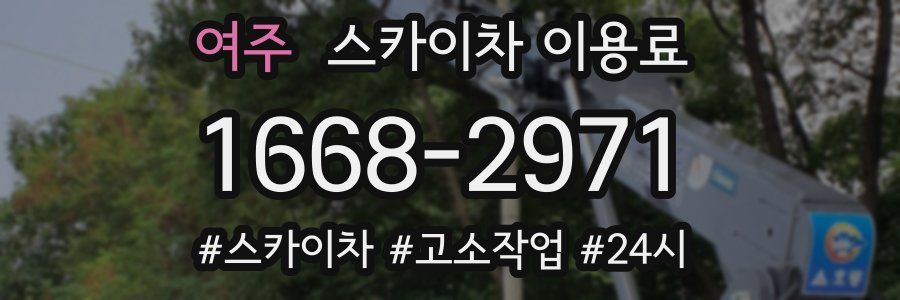 여주 스카이차 이용료