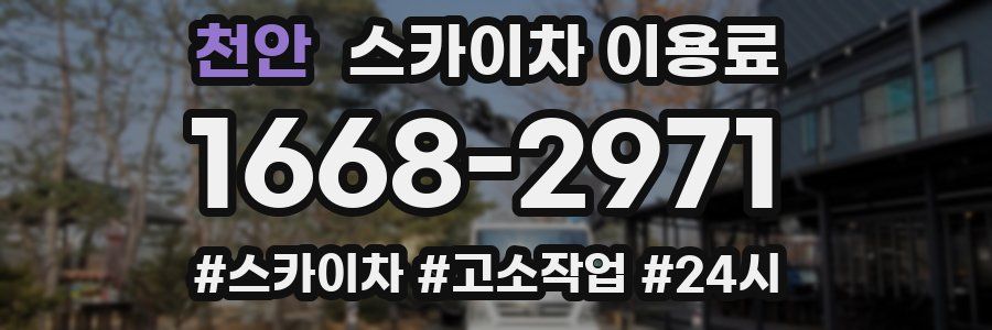 천안 스카이차 이용료