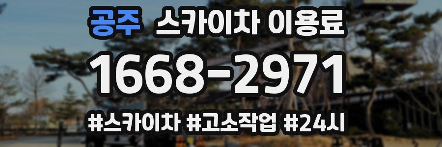 공주 스카이차 이용료