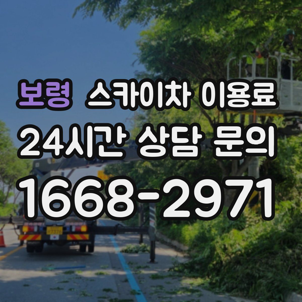 보령 스카이차 이용료