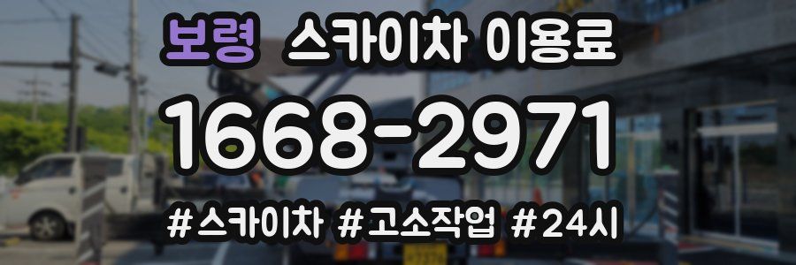 보령 스카이차 이용료