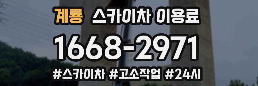 계룡 스카이차 이용료