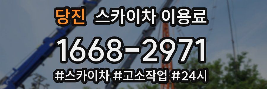 당진 스카이차 이용료