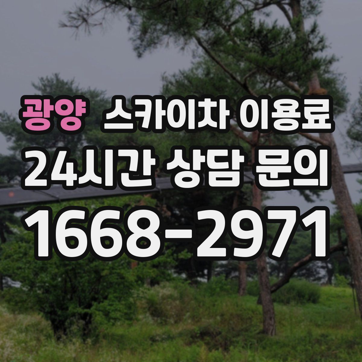 광양 스카이차 이용료