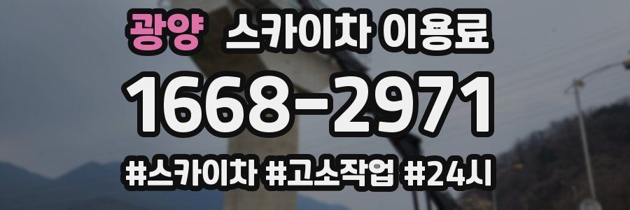 광양 스카이차 이용료