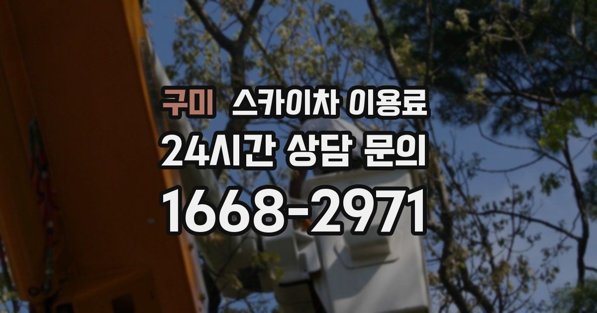 구미 스카이차 이용료