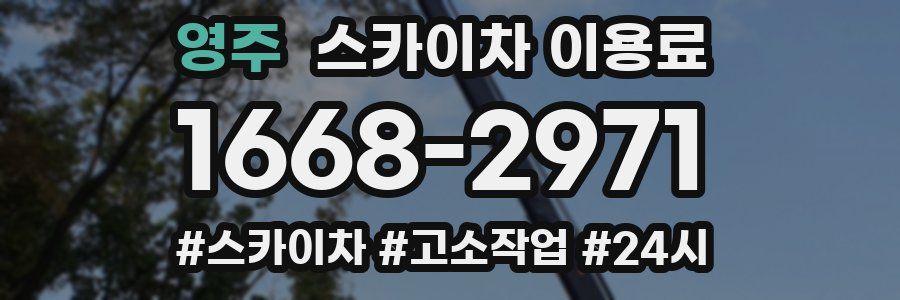 영주 스카이차 이용료