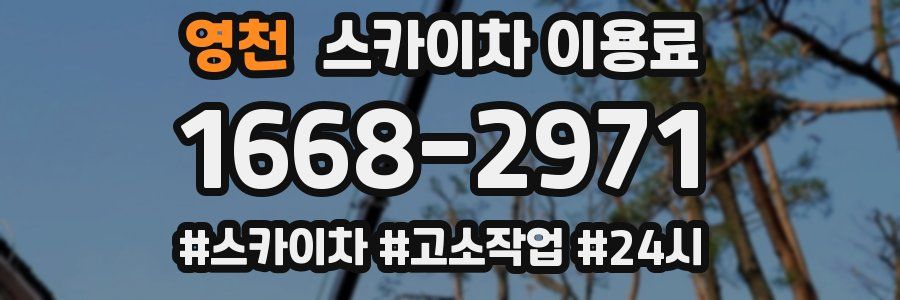 영천 스카이차 이용료
