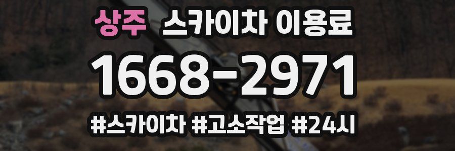 상주 스카이차 이용료