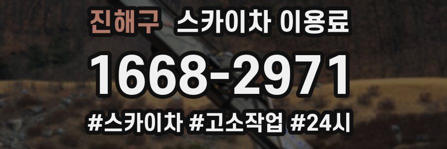 진해구 스카이차 이용료