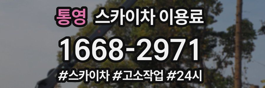 통영 스카이차 이용료