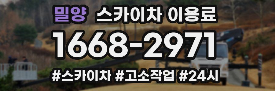 밀양 스카이차 이용료