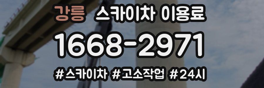 강릉 스카이차 이용료