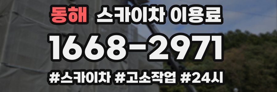 동해 스카이차 이용료