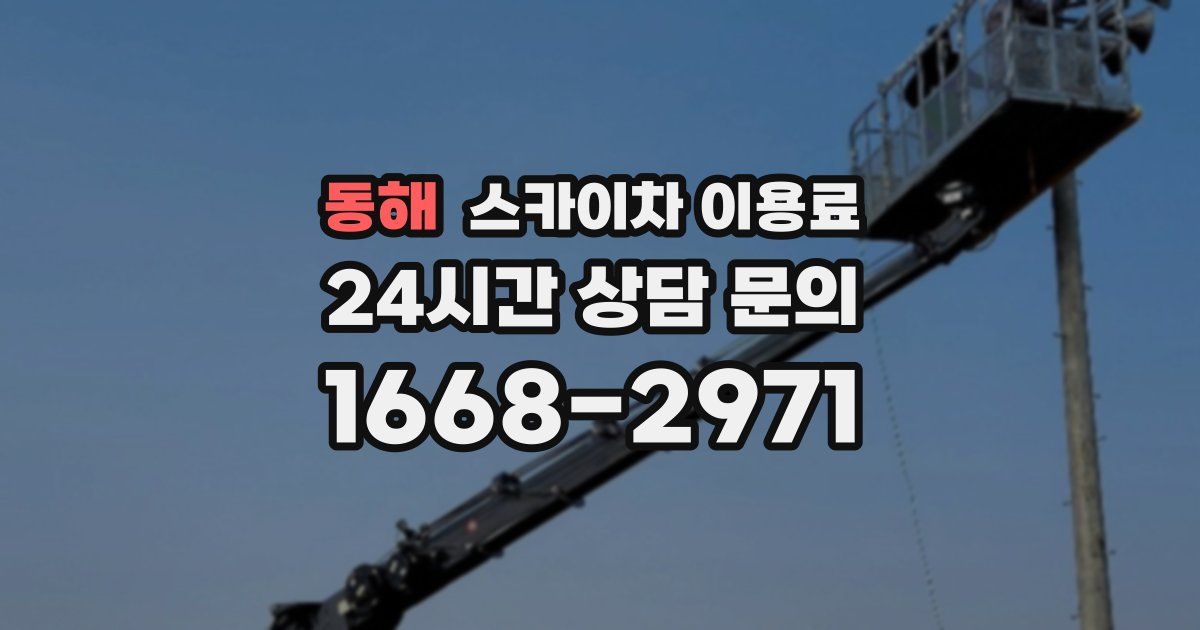 동해 스카이차 이용료