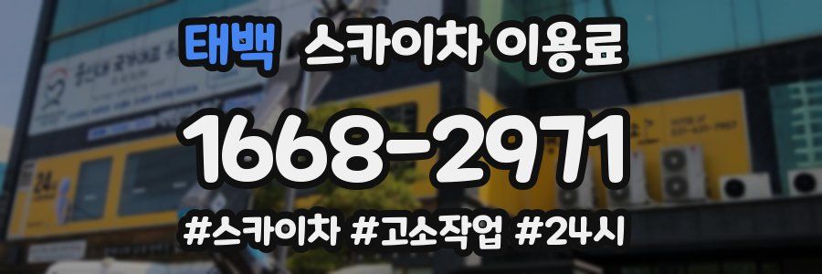 태백 스카이차 이용료