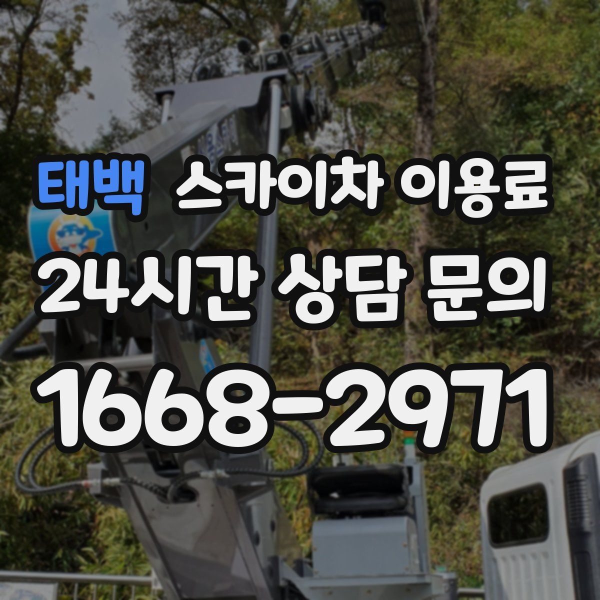 태백 스카이차 이용료