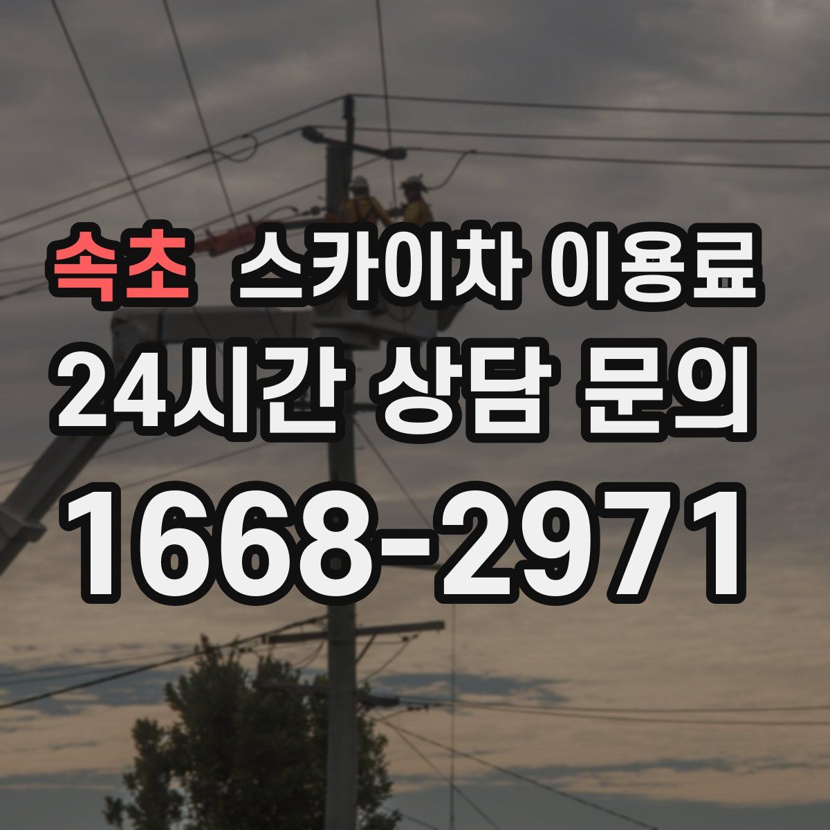 속초 스카이차 이용료